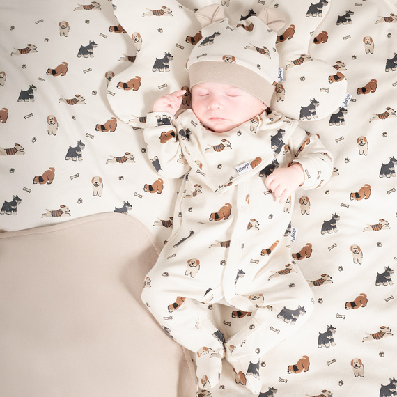 215055 Pălărie Eddy cu urechi Nicol