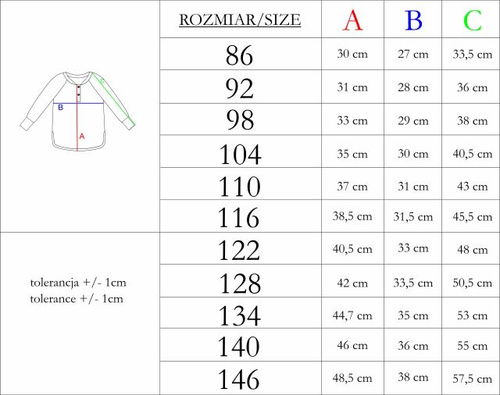 227139 Nicol BENEK Bluză băieți raglan henley cu dungi mânecă lungă