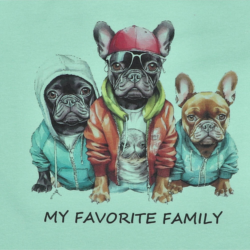 KAR-2002/PIS Tricou fistic Lagarto Verde pentru baieti