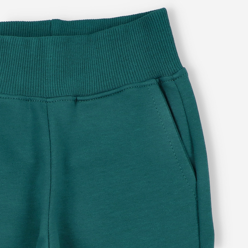 KAR-0042/BUT Pantaloni cargo pentru baieti Lagarto Verde verde sticla