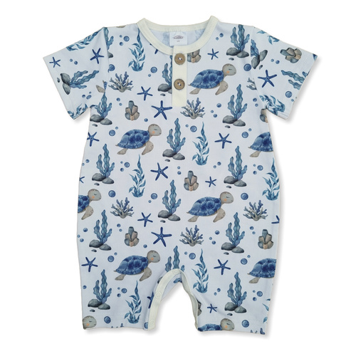 02255 Clovn de vară „Water Land”, Makoma ramper