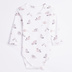 Corp