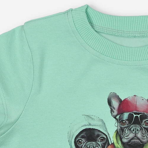 KAR-2002/PIS Tricou fistic Lagarto Verde pentru baieti