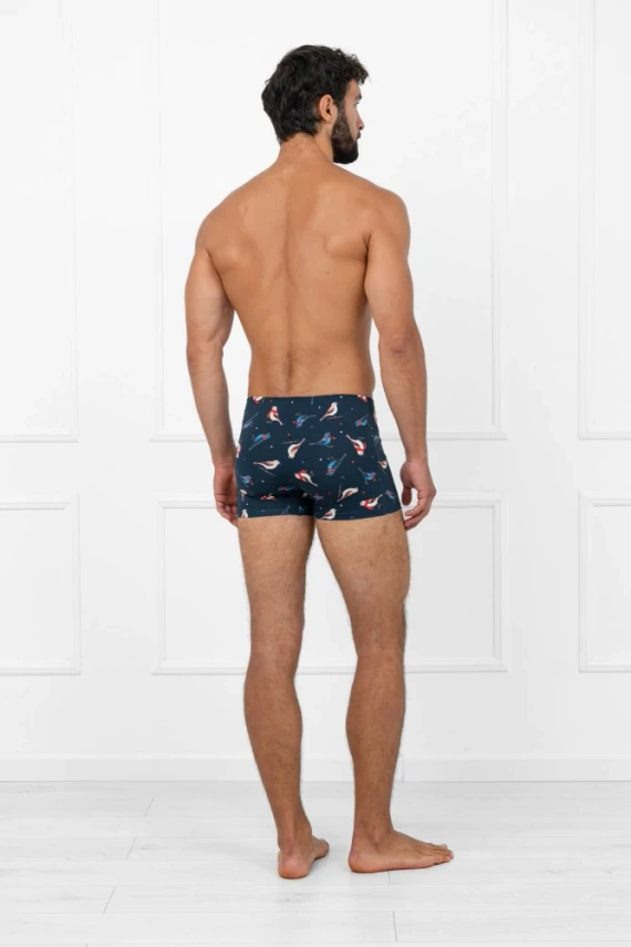 Pantaloni scurți boxer pentru bărbați Remiz Italian Fashion – bumbac, elastan, model colorat