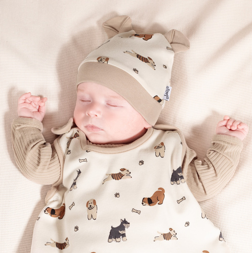 215055 Pălărie Eddy cu urechi Nicol