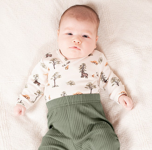 218094 Body Bear Yogi Bear Nicol – bumbac, maneci lungi, model padure