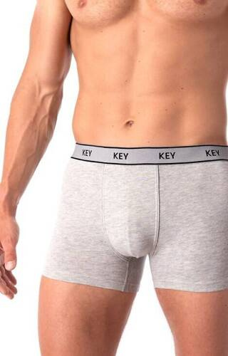 Boxer bărbați MXH 222 Key - gri
