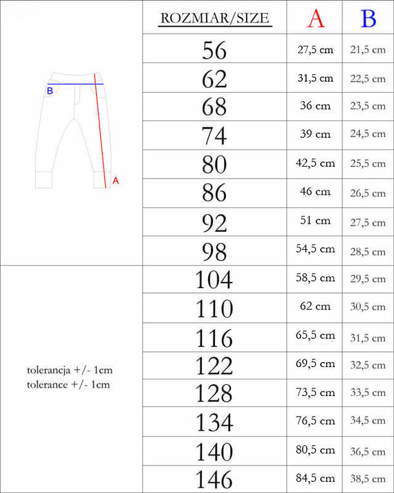 169547 Pantaloni de trening Nicol - gri
