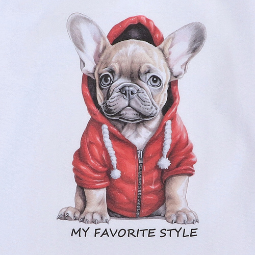 KAR-1011/BIA Bluză băiat cu mâneci lungi Lagarto Verde albă