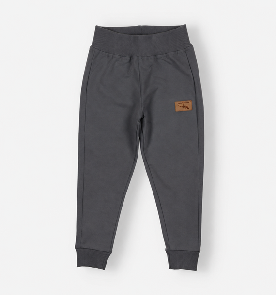 Pantaloni sport băieți Lagarto Verde KAR-0040/SZA bumbac gri
