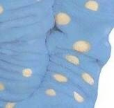 998 Halat de baie pentru copii Bowtie Forex - albastru