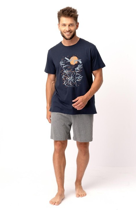 Pijamale pentru bărbați MNS 749 Key - bleumarin