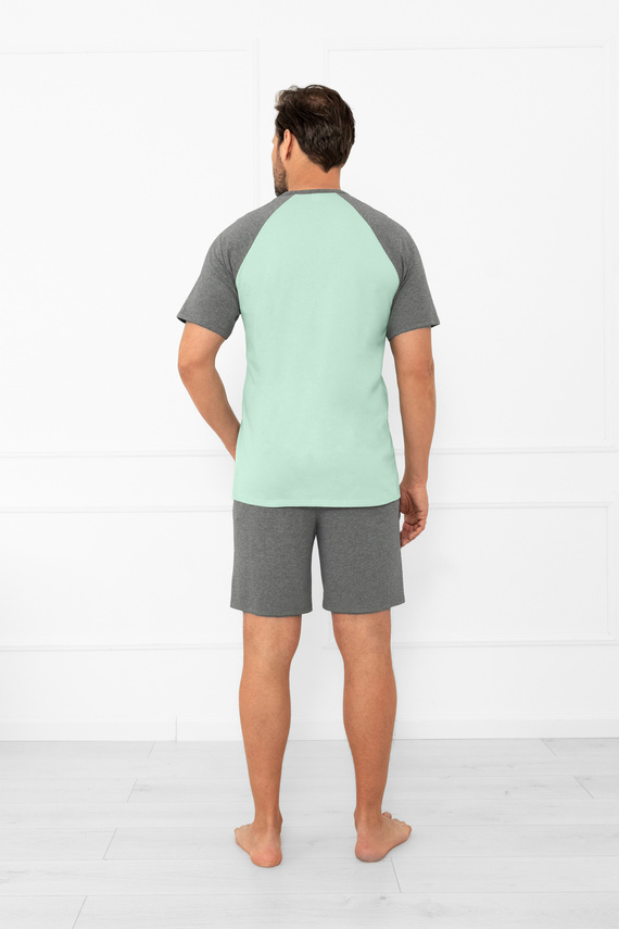 Pijama pentru bărbați Alexander Italian Fashion - mâneci scurte și pantaloni scurți, 100% bumbac - salvie/melange 