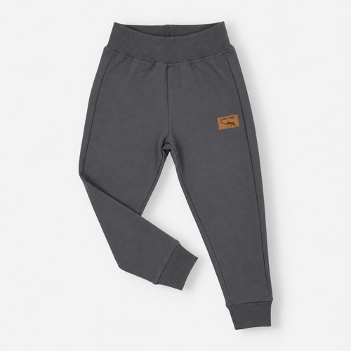 Pantaloni sport băieți Lagarto Verde KAR-0040/SZA bumbac gri