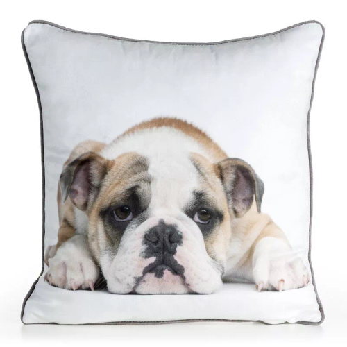 Față pernă Animal 45x45 catifea Eurofirany cu fermoar buldog