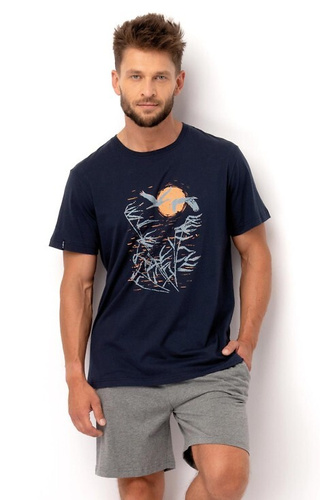 Pijamale pentru bărbați MNS 749 Key - bleumarin