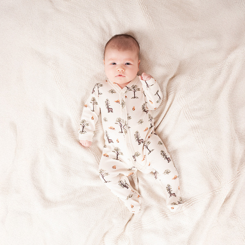 218031 Yogi Bear Clown Nicol bumbac – model pădure, mâneci lungi